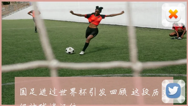 国足进过世界杯引发回顾 这段历史仍被球迷记住