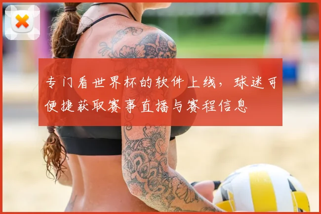 专门看世界杯的软件上线,球迷可便捷获取赛事直播与赛程信息