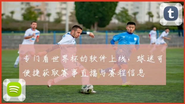 专门看世界杯的软件上线,球迷可便捷获取赛事直播与赛程信息