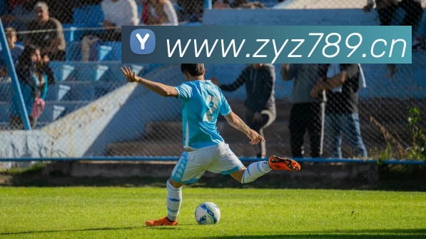 乐鱼(中国)leyu·官方网站 - 科技股份有限公司发展历程